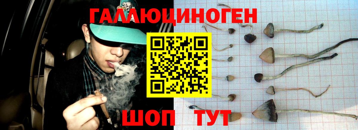 Псилоцибиновые грибы GOLDEN TEACHER  Вход с VPN  Мелеуз 